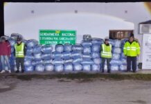 En “Cabeza de Buey” pararon un camión que transportaba a Buenos Aires 1.500 kilos de hojas coca