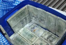 Boliviano pretendía viajar de Liniers a La Quiaca con U$S 175 mil escondidos en una conservadora