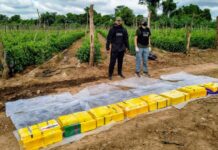 Argentinos y venezolanos detenidos en una finca en Colonia Santa Rosa con 177 kilos de cocaína