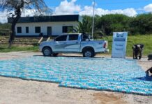 Salieron de Salta con 30.000 paquetes de cigarrillos extranjeros y los pararon en Tucumán