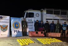 Secuestran 70 kilos de cocaína en el puesto de control de El Tala en la ruta 9