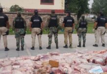 Prisión preventiva para los siete delincuentes que robaban y faenaban vacas en el Valle de Lerma