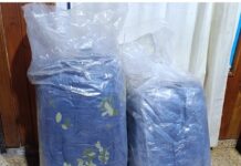 ¡Robo, huyo y la pescaron! La detuvieron en Embarcación con dos bolsas de hojas de coca sustraídas en Orán