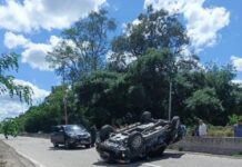Una camioneta que transportaba hojas de coca volcó en la ruta 50 en Oran y el conductor huyó