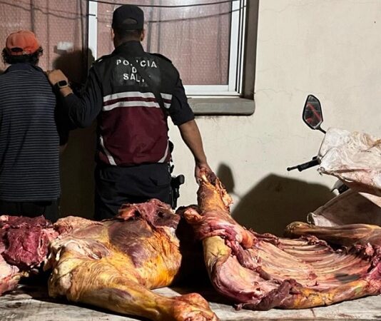 Detienen a un delincuente que robo y faenó una vaca en Morillo