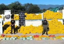 Un camión que partió de Colonia santa Rosa ocultaba 152 kilos de drogas entre la carga de limones
