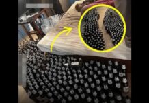 “Murió de corazón roto”: un hombre se tomó 100 cervezas luego de divorciarse de su mujer y falleció al mes