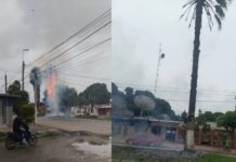 Prendieron fuego una palmera en plena avenida de Hipólito Yrigoyen