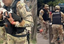 Rescatan en Barrio Mosconi a 10 perros Pitbull por maltrato animal