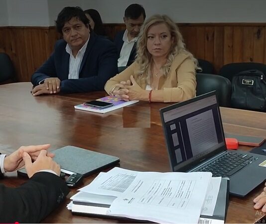 La Comisión Bicameral Examinadora de Cuentas del Senado convocará al auditor Segura Alsogaray