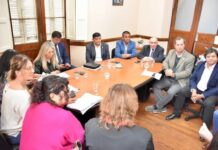 El Senado citará a legisladores nacionales con el fin de frenar la profundización del ajuste en discapacidad