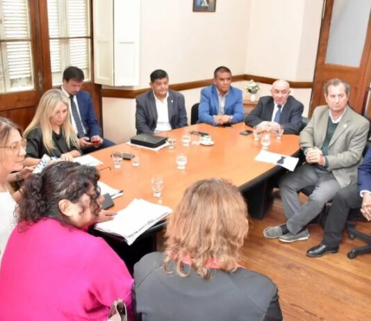 El Senado citará a legisladores nacionales con el fin de frenar la profundización del ajuste en discapacidad