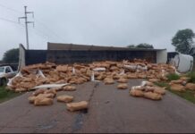 Volcó un camión cargado de azúcar en la ruta 5