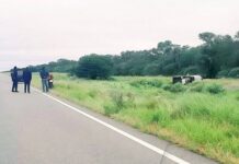 Una camioneta volcó en la Ruta Nacional 16 en Tolloche y murió uno 4 de los ocupantes