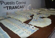 Viajaba de Salta a Buenos Aires en colectivo con una mochila con más de $ 159 millones