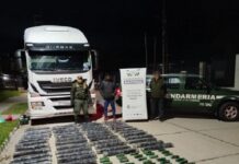 Un camión salió de Salta a Buenos Aires con 155 kilos de hojas de coca en las bauleras laterales