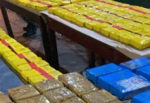 9 años de prisión para el Gendarme de Tartagal que organizó el transporte de 161 kilos de cocaína