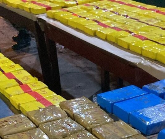 9 años de prisión para el Gendarme de Tartagal que organizó el transporte de 161 kilos de cocaína
