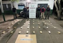 “Doli” alertó a los gendarmes y descubrieron 42 kilos de cocaína en un auto que se dirigía a González