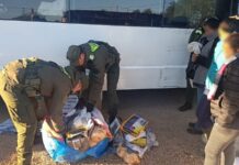 Detienen en Santa Fé a una boliviana que viajaba de Oran con 47 kilos de cocaína y 20 de pasta base