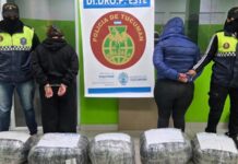 Dos mujeres se enviaron una encomienda de Salta a Tucumán con 48 kilos de marihuana y las detuvieron