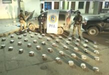 La Policía Federal secuestra 50 kilos de marihuana tras una fuga y persecución en Orán