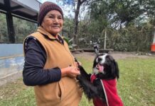 Final feliz para el perrito que apareció atado en la plaza 9 de Julio