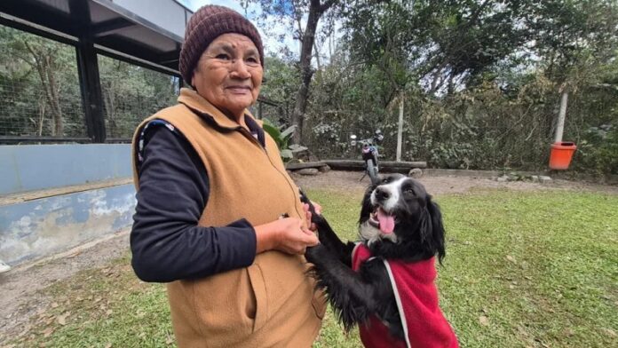 abuela con su perro