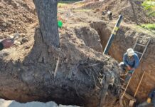 La empresa contratista de Naturgy (ex Gasnor) se hará cargo de reparar el daño ambiental en la avenida Perón