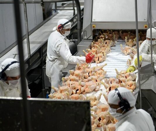 La avícola Granja Tres Arroyos enfrenta un complejo panorama financiero y los empleados iniciaron un paro