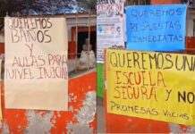 ¡Teléfono para Fiore! Un solo baño para más de 300 chicos en la escuela de Los Blancos