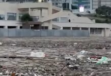 El mar devolvió la basura: impactante postal en Mar del Plata