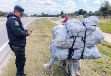 Policías de Orán demoraron a un hombre de 23 años por la sustracción de naranjas de una finca