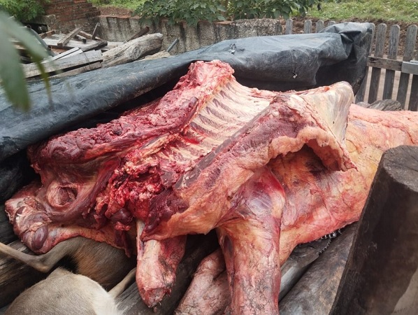 carne vacuna