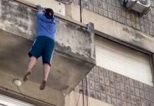 Cayó desde el balcón de un cuarto piso y sobrevivió al impactar sobre el capot de un patrullero