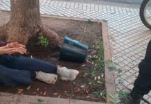 Caminaba por el centro de Rosario y le cayó encima una maceta con una planta de marihuana
