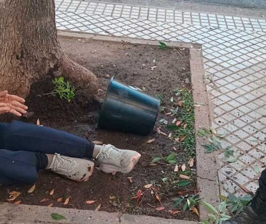 Caminaba por el centro de Rosario y le cayó encima una maceta con una planta de marihuana