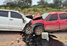 Cuatro muertos en un choque frontal entre dos camionetas en Rivadavia