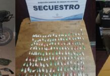 La Policía secuestró más de 18 mil dosis de drogas en distintos procedimientos en Salta