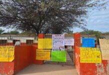 ¡Teléfono para Fiore! Un solo baño para más de 300 chicos en la escuela de Los Blancos