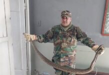 Otra “Lampalagua” apareció en un comercio en Quebrachal