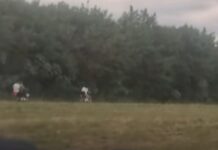 Menores en moto, en contramano y al borde de la tragedia en la ruta 50 en Orán