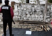 Pesca ilegal: secuestran en Moldes más de 200 pejerrey, sábalos y dentudos