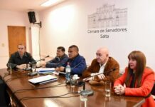 La viabilidad de la Caja previsional de Nutricionistas y Trabajadores Sociales en debate en el Senado