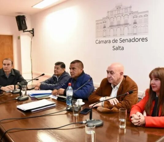 La viabilidad de la Caja previsional de Nutricionistas y Trabajadores Sociales en debate en el Senado