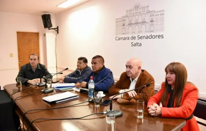 senado y nutricionistas