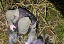 Escaparon de un control de Gendarmería y abandonaron más de 10 kilos de cocaína al costado de la Ruta 50 en Orán