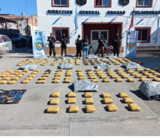 Incautan más de 900 mil dosis de droga y detienen a dos personas en Salta