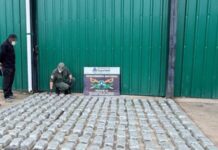 Gendarmería desplego 3 operativos en Orán en menos de 24 horas y decomisó más de 268 kilos de drogas
