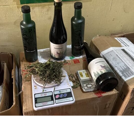 Allanaron una vivienda en la que fabricaban y vendían “Fernnabis”, una bebida a base de fernet con cannabis: dos detenidos